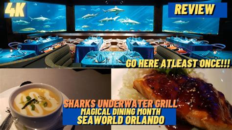 Sharks underwaer grill magical diniing